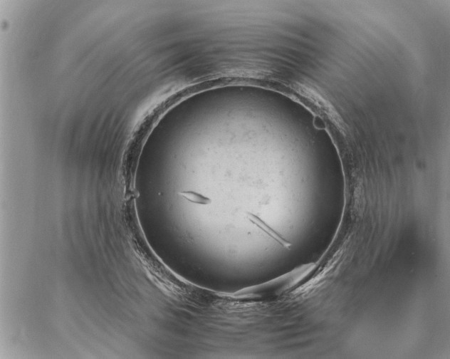 X0000087391027200704201237