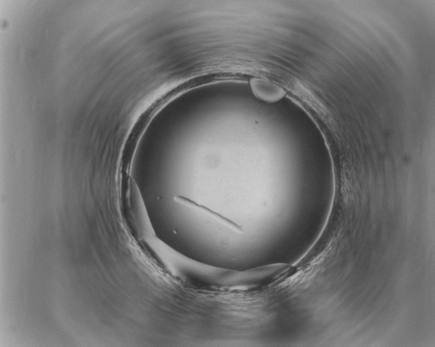 X0000087391028200704201237