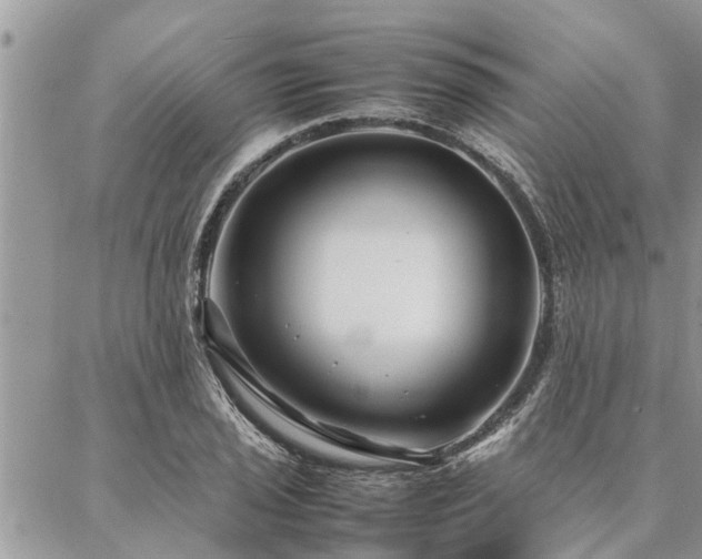 X0000087391029200704201237