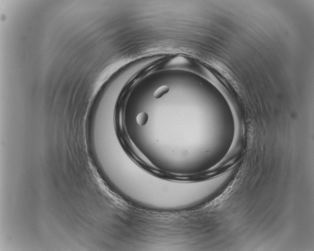 X0000087391030200704201237