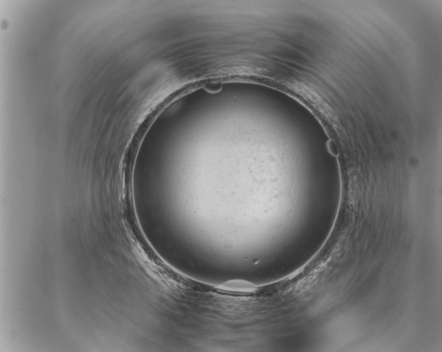 X0000087391031200704201237