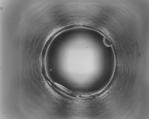 X0000087391032200704201237