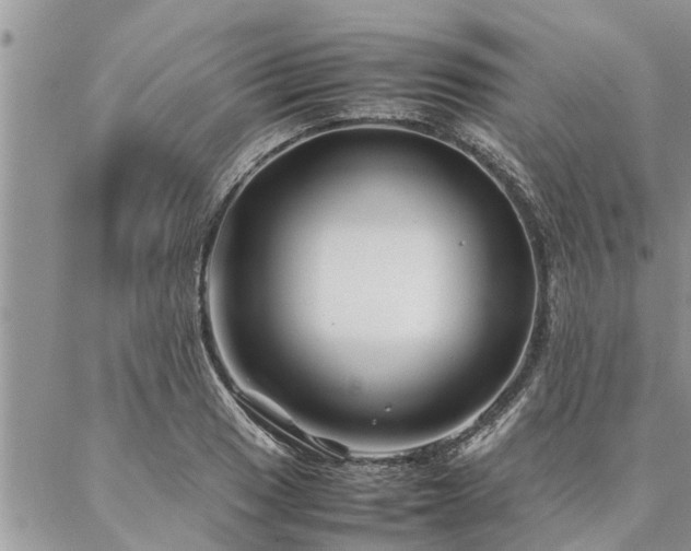 X0000087391033200704201237