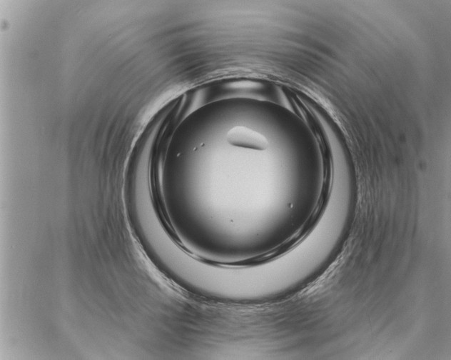 X0000087391034200704201237