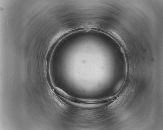 X0000087391035200704201237