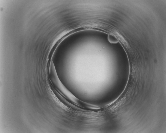 X0000087391036200704201237