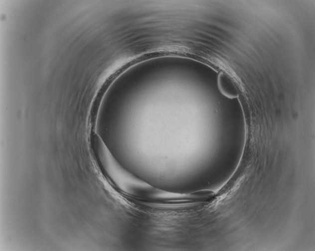 X0000087391037200704201237