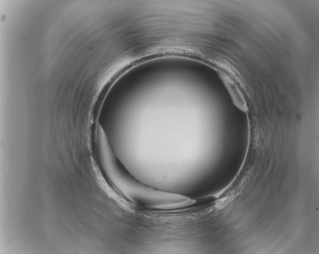 X0000087391038200704201237