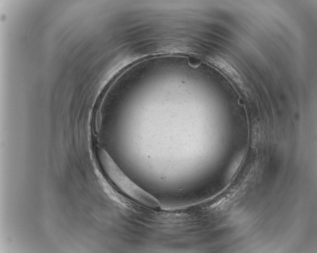 X0000087391039200704201237