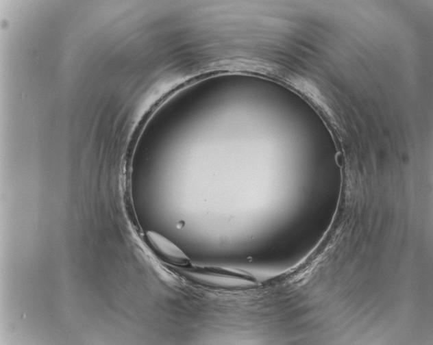 X0000087391040200704201237