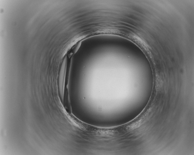 X0000087391041200704201237