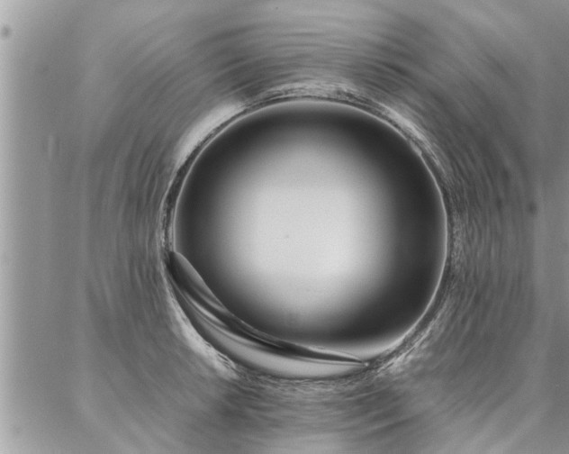 X0000087391042200704201237