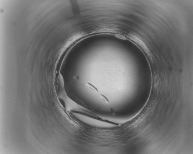 X0000087391043200704201237