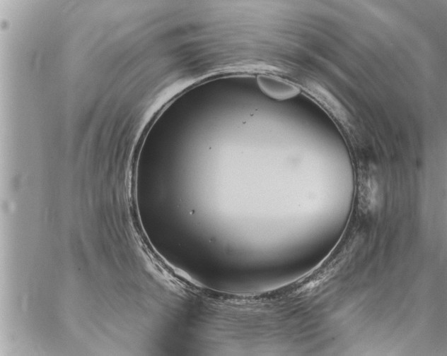 X0000087391044200704201237