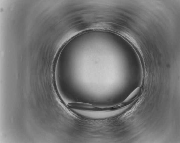 X0000087391045200704201237