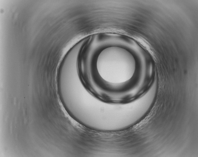 X0000087391046200704201237