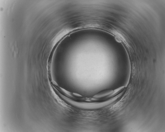 X0000087391047200704201237