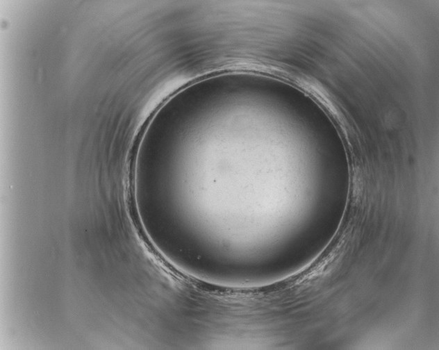 X0000087391048200704201237