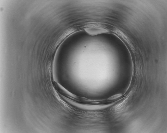 X0000087391049200704201237