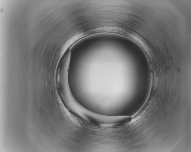 X0000087391050200704201237