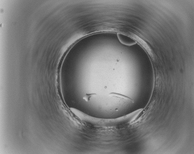 X0000087391051200704201237