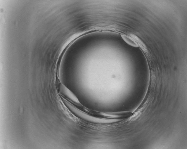 X0000087391052200704201237