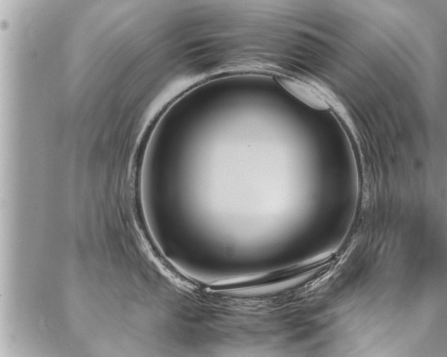 X0000087391053200704201237