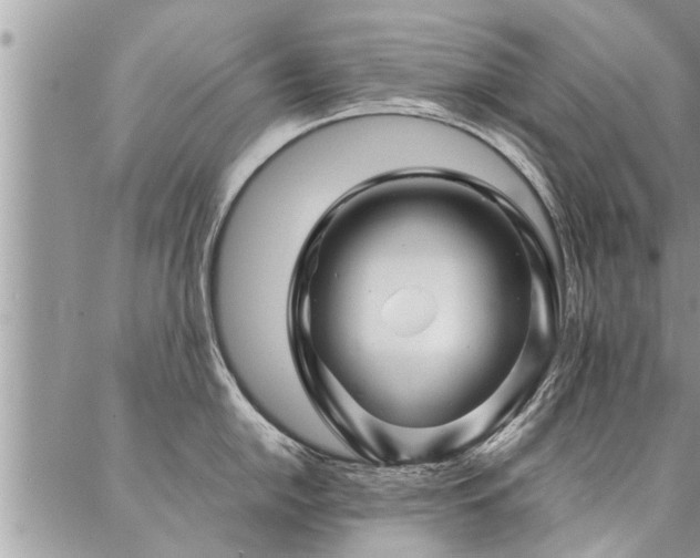 X0000087391054200704201237