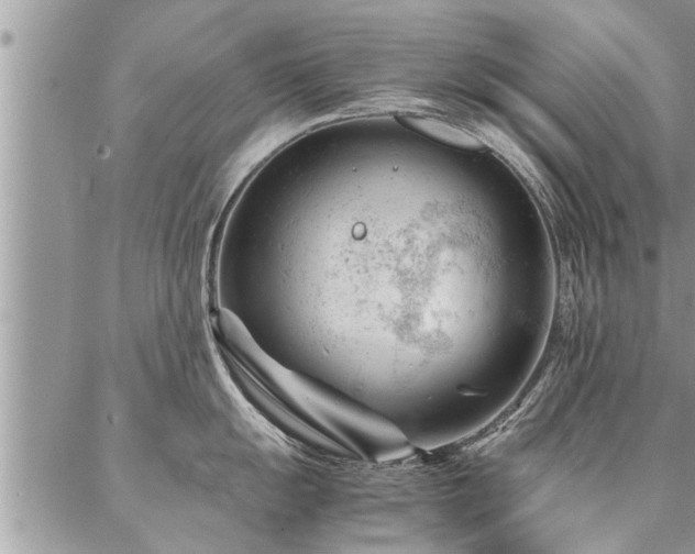 X0000087391055200704201237