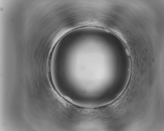 X0000087391056200704201237