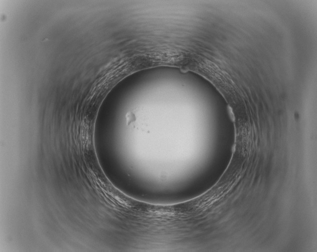 X0000087391058200704201237