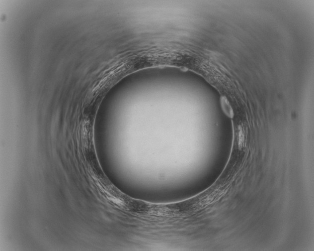 X0000087391059200704201237