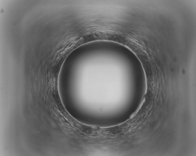 X0000087391061200704201237