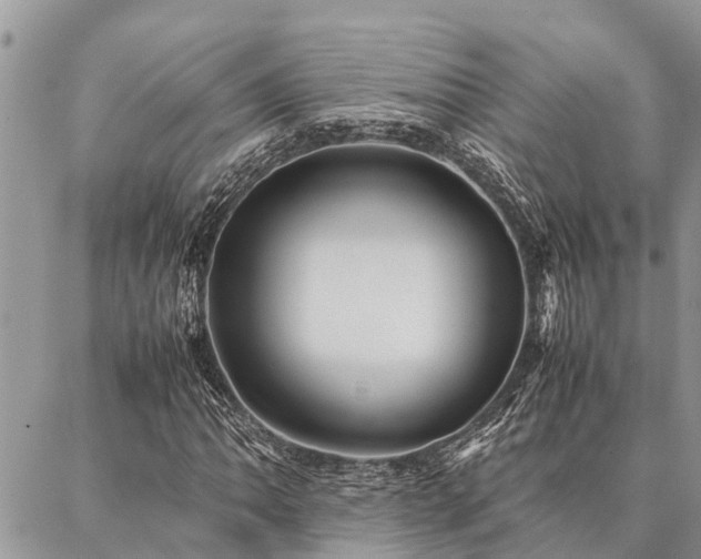 X0000087391062200704201236