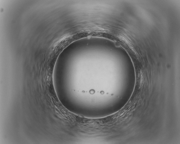 X0000087391063200704201236