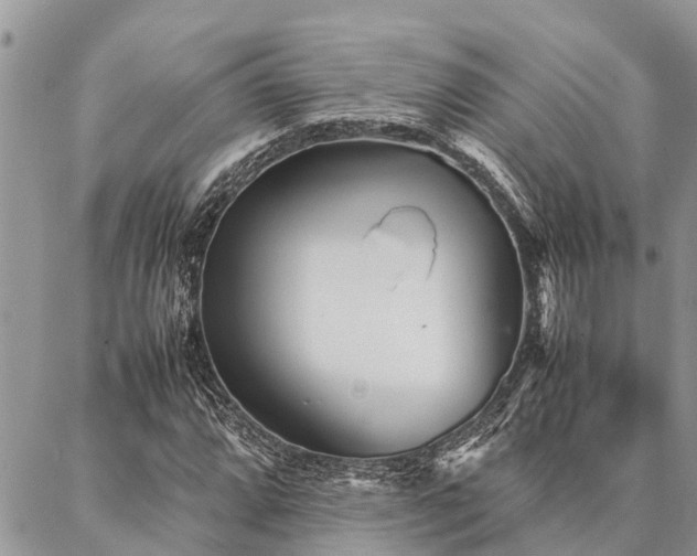 X0000087391064200704201236