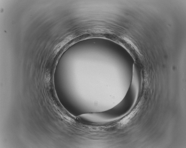 X0000087391065200704201236