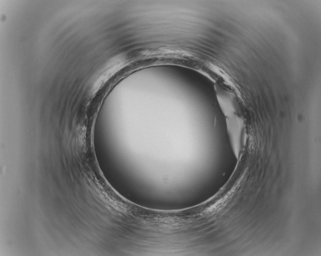 X0000087391066200704201236