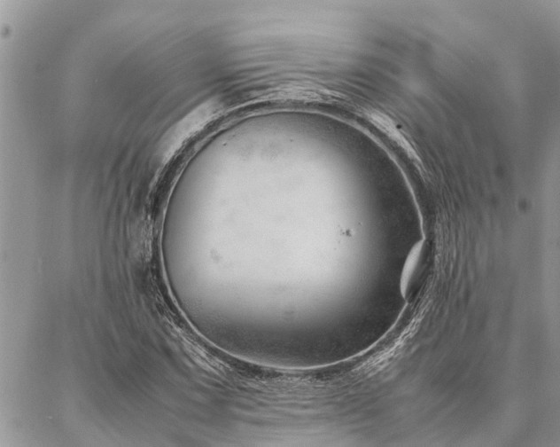 X0000087391067200704201236