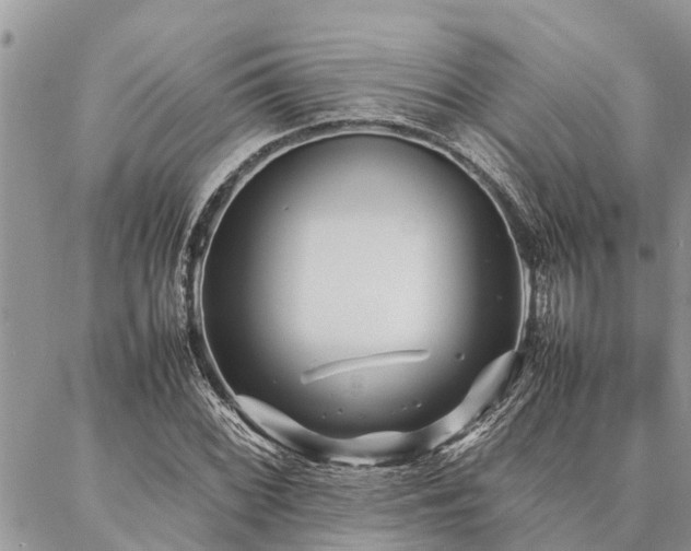 X0000087391068200704201236