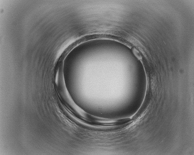 X0000087391069200704201236