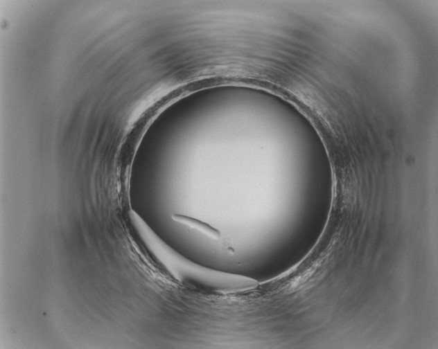 X0000087391070200704201236