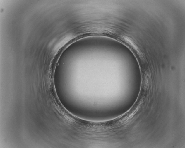 X0000087391071200704201236