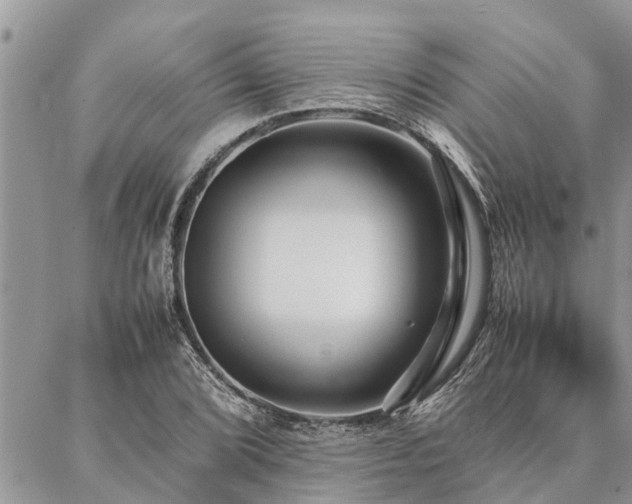 X0000087391072200704201236