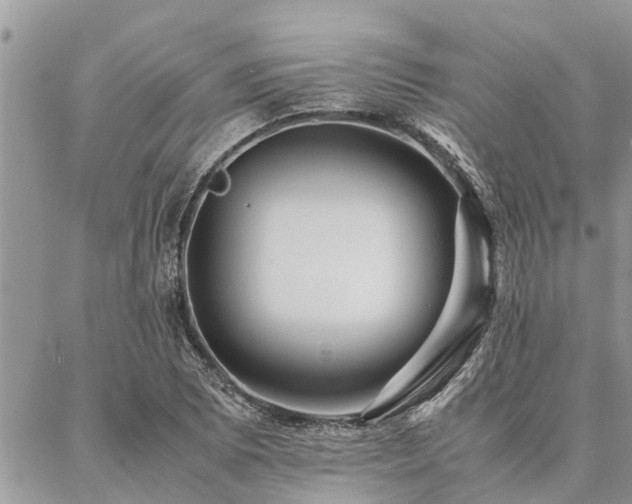 X0000087391073200704201236