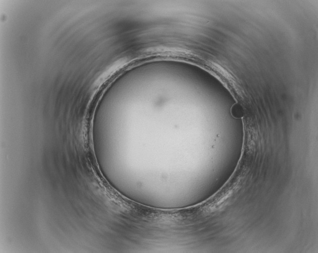 X0000087391074200704201236