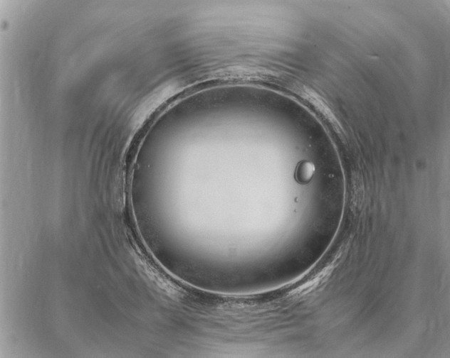 X0000087391075200704201236