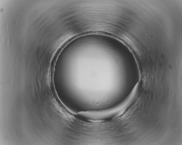 X0000087391076200704201236