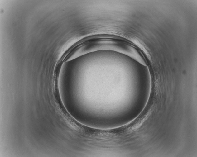 X0000087391077200704201236