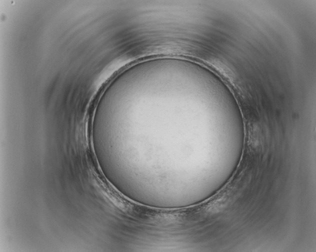 X0000087391078200704201236